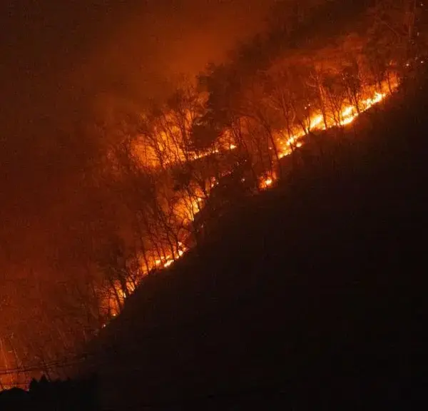 Kebakaran Hutan di Korea Selatan Tewaskan 18 Orang, Ribuan Warga Dievakuasi
