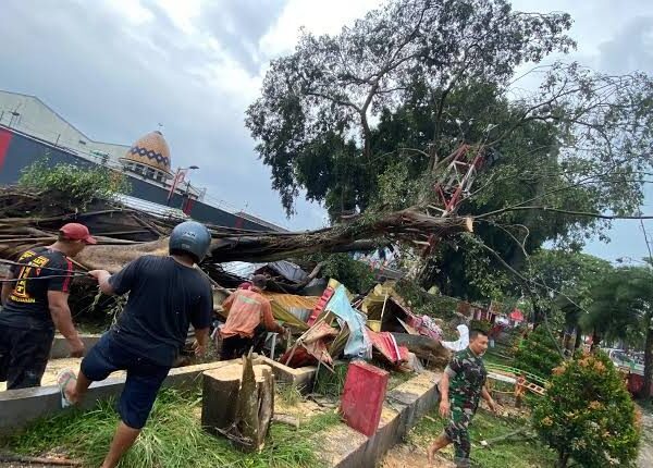 22 Korban Pohon Tumbang di Pemalang Dapat Santunan dari Kemensos 22 Korban Pohon Tumbang di Pemalang Dapat Santunan dari Kemensos