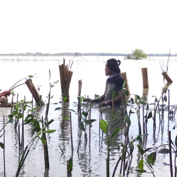 Dari Buruh ke Penjaga Alam: Perjuangan Sunyi Komunitas Tripari Dari Buruh ke Penjaga Alam: Perjuangan Sunyi Komunitas Tripari