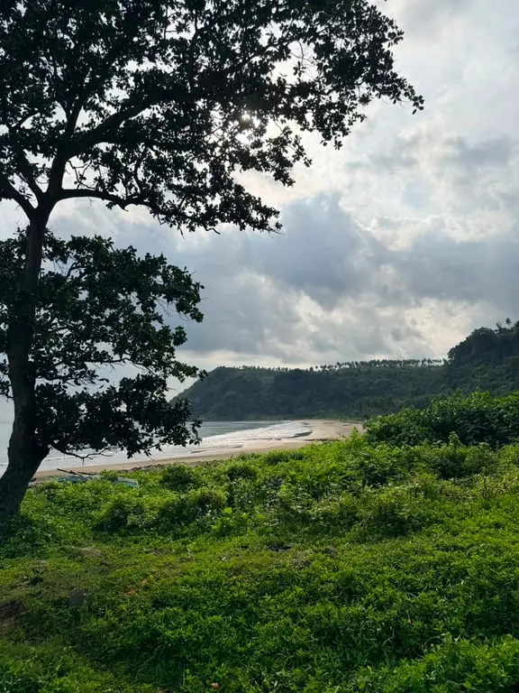 Lampung Selatan Jadi Lokasi Relawan Bakti BUMN 2026, PTPN Group dan InJourney Group Siap Bersinergi