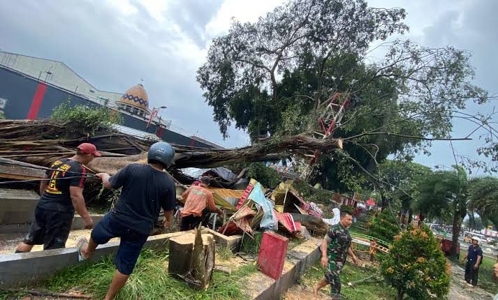 22 Korban Pohon Tumbang di Pemalang Dapat Santunan dari Kemensos